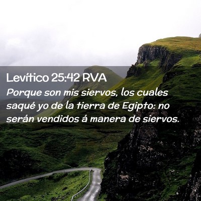 Picture 02 - Levítico 25:42 RVA - Porque son mis siervos, los cuales saqué yo de - Bible Verse Picture