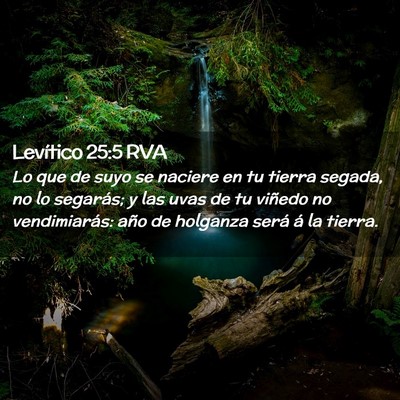 Picture 02 - Levítico 25:5 RVA - Lo que de suyo se naciere en tu tierra segada, no - Bible Verse Picture