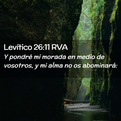 Picture 02 - Levítico 26:11 RVA - Y pondré mi morada en medio de vosotros, y mi - Bible Verse Picture