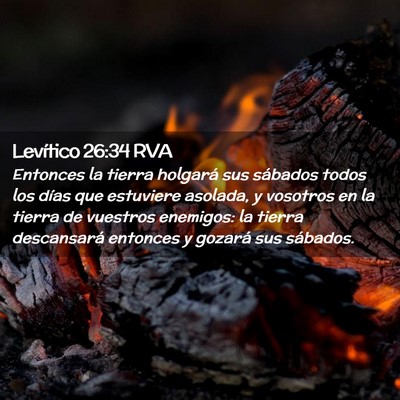 Picture 02 - Levítico 26:34 RVA - Entonces la tierra holgará sus sábados todos - Bible Verse Picture