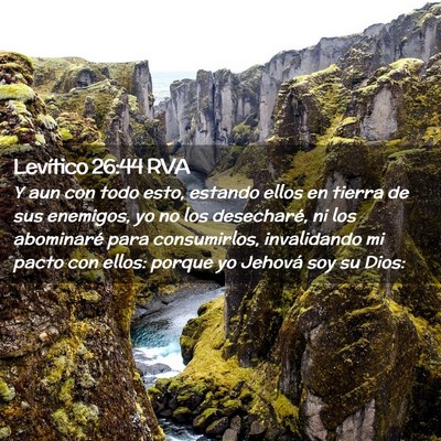 Picture 02 - Levítico 26:44 RVA - Y aun con todo esto, estando ellos en tierra de - Bible Verse Picture