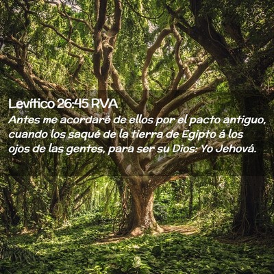 Picture 02 - Levítico 26:45 RVA - Antes me acordaré de ellos por el pacto antiguo, - Bible Verse Picture
