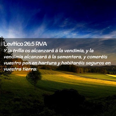 Picture 02 - Levítico 26:5 RVA - Y la trilla os alcanzará á la vendimia, y la - Bible Verse Picture