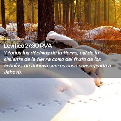 Picture 02 - Levítico 27:30 RVA - Y todas las décimas de la tierra, así de la - Bible Verse Picture