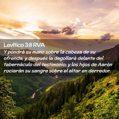 Picture 02 - Levítico 3:8 RVA - Y pondrá su mano sobre la cabeza de su ofrenda, - Bible Verse Picture