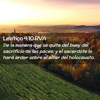 Picture 02 - Levítico 4:10 RVA - De la manera que se quita del buey del sacrificio - Bible Verse Picture