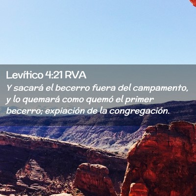 Picture 02 - Levítico 4:21 RVA - Y sacará el becerro fuera del campamento, y lo - Bible Verse Picture
