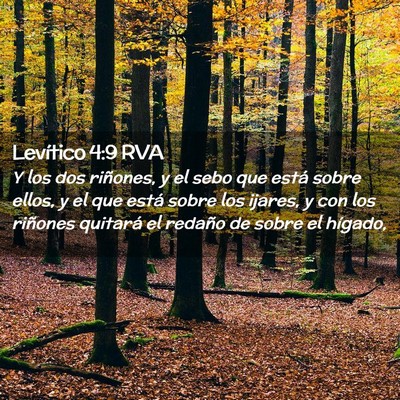 Picture 02 - Levítico 4:9 RVA - Y los dos riñones, y el sebo que está sobre - Bible Verse Picture