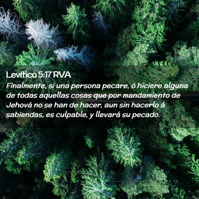 Picture 02 - Levítico 5:17 RVA - Finalmente, si una persona pecare, ó hiciere - Bible Verse Picture