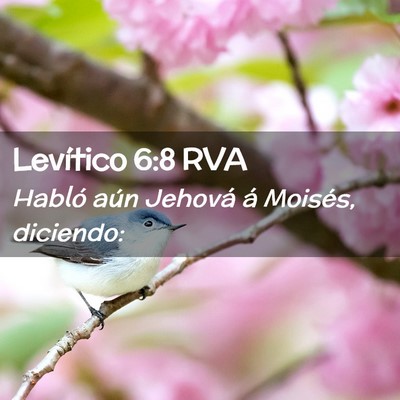 Picture 02 - Levítico 6:8 RVA - Habló aún Jehová á Moisés, - Bible Verse Picture