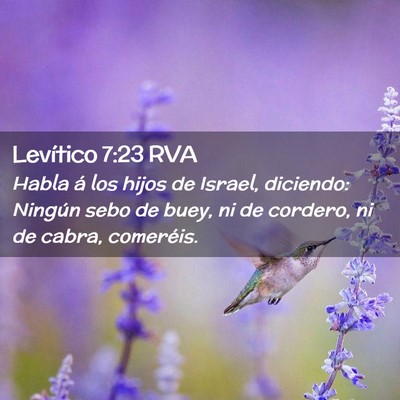 Picture 02 - Levítico 7:23 RVA - Habla á los hijos de Israel, diciendo: Ningún - Bible Verse Picture