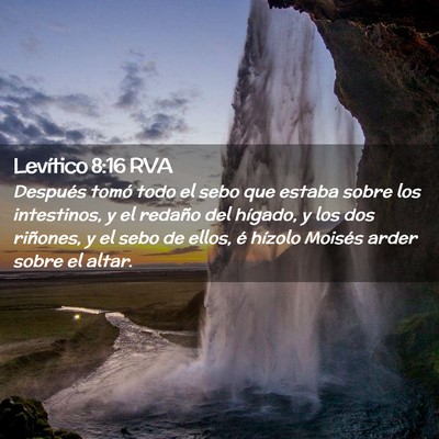 Picture 02 - Levítico 8:16 RVA - Después tomó todo el sebo que estaba sobre los - Bible Verse Picture