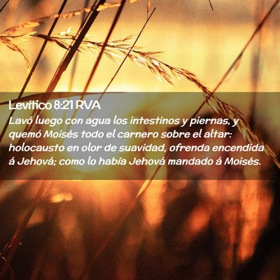 Picture 02 - Levítico 8:21 RVA - Lavó luego con agua los intestinos y piernas, y - Bible Verse Picture