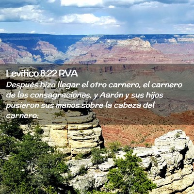 Picture 02 - Levítico 8:22 RVA - Después hizo llegar el otro carnero, el carnero - Bible Verse Picture