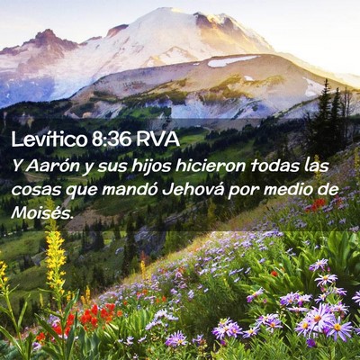 Picture 02 - Levítico 8:36 RVA - Y Aarón y sus hijos hicieron todas las cosas que - Bible Verse Picture