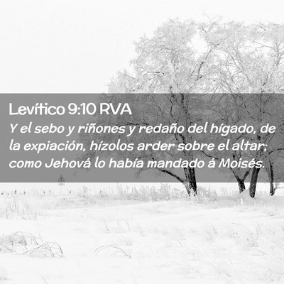 Picture 02 - Levítico 9:10 RVA - Y el sebo y riñones y redaño del hígado, de la - Bible Verse Picture