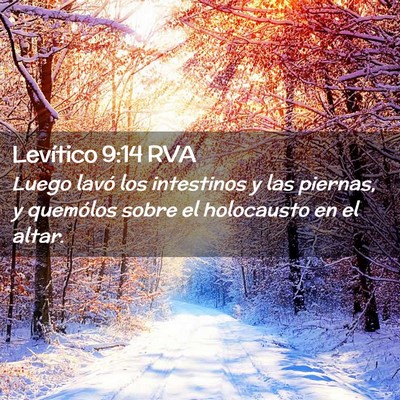 Picture 02 - Levítico 9:14 RVA - Luego lavó los intestinos y las piernas, y - Bible Verse Picture