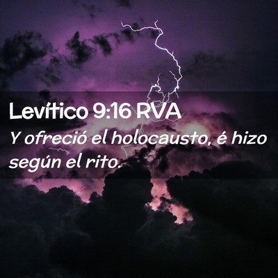 Picture 02 - Levítico 9:16 RVA - Y ofreció el holocausto, é hizo según el - Bible Verse Picture