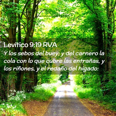 Picture 02 - Levítico 9:19 RVA - Y los sebos del buey; y del carnero la cola con - Bible Verse Picture