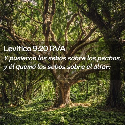 Picture 02 - Levítico 9:20 RVA - Y pusieron los sebos sobre los pechos, y él - Bible Verse Picture