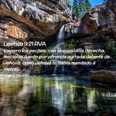 Picture 02 - Levítico 9:21 RVA - Empero los pechos, con la espaldilla derecha, - Bible Verse Picture