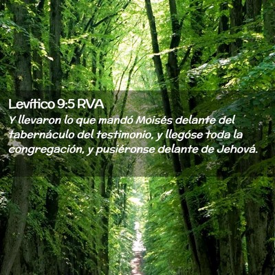 Picture 02 - Levítico 9:5 RVA - Y llevaron lo que mandó Moisés delante del - Bible Verse Picture