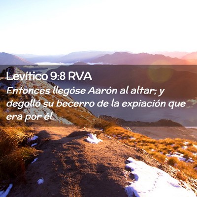 Picture 02 - Levítico 9:8 RVA - Entonces llegóse Aarón al altar; y degolló su - Bible Verse Picture