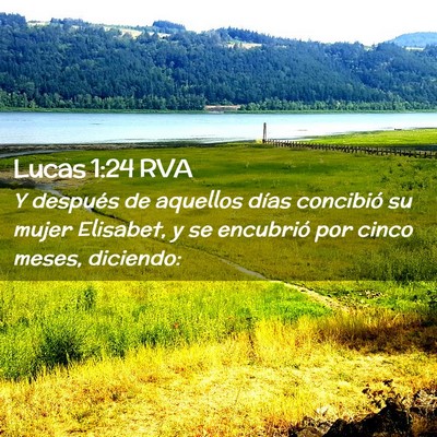 Picture 02 - Lucas 1:24 RVA - Y después de aquellos días concibió su mujer - Bible Verse Picture