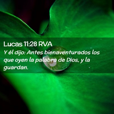 Picture 02 - Lucas 11:28 RVA - Y él dijo: Antes bienaventurados los que oyen la - Bible Verse Picture