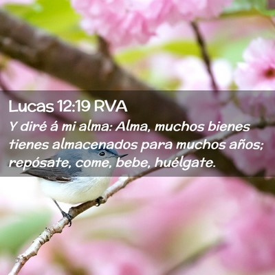 Picture 02 - Lucas 12:19 RVA - Y diré á mi alma: Alma, muchos bienes tienes - Bible Verse Picture