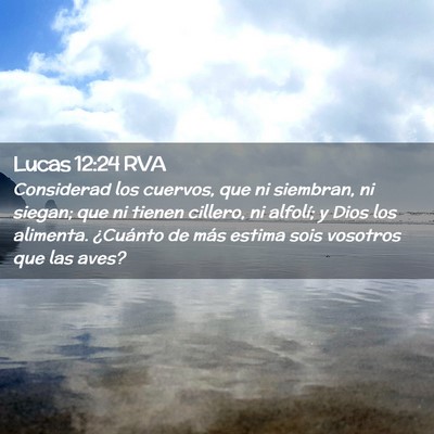Picture 02 - Lucas 12:24 RVA - Considerad los cuervos, que ni siembran, ni - Bible Verse Picture