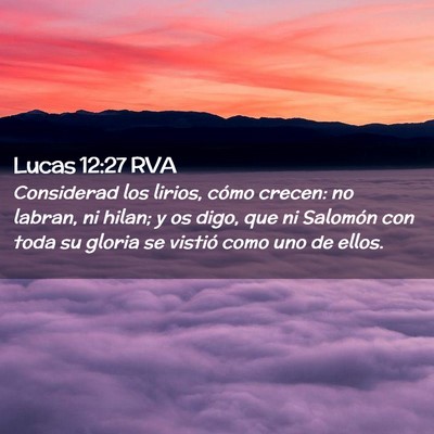 Picture 02 - Lucas 12:27 RVA - Considerad los lirios, cómo crecen: no labran, - Bible Verse Picture
