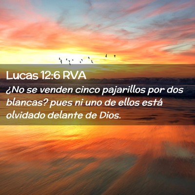 Picture 02 - Lucas 12:6 RVA - ¿No se venden cinco pajarillos por dos blancas? - Bible Verse Picture