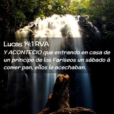 Picture 02 - Lucas 14:1 RVA - Y ACONTECIO que entrando en casa de un príncipe - Bible Verse Picture
