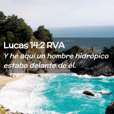 Picture 02 - Lucas 14:2 RVA - Y he aquí un hombre hidrópico estaba delante de - Bible Verse Picture