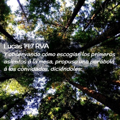 Picture 02 - Lucas 14:7 RVA - Y observando cómo escogían los primeros - Bible Verse Picture