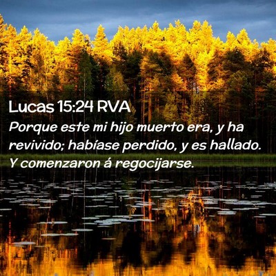 Picture 02 - Lucas 15:24 RVA - Porque este mi hijo muerto era, y ha revivido; - Bible Verse Picture