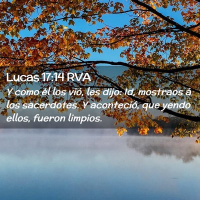 Picture 02 - Lucas 17:14 RVA - Y como él los vió, les dijo: Id, mostraos á - Bible Verse Picture