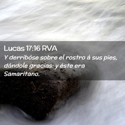 Picture 02 - Lucas 17:16 RVA - Y derribóse sobre el rostro á sus pies, - Bible Verse Picture