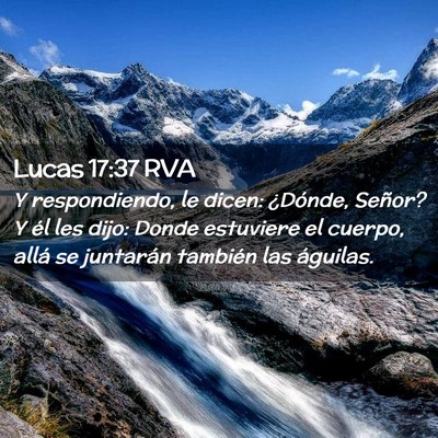 Picture 02 - Lucas 17:37 RVA - Y respondiendo, le dicen: ¿Dónde, Señor? Y él - Bible Verse Picture