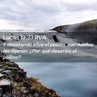 Picture 02 - Lucas 19:33 RVA - Y desatando ellos el pollino, sus dueños les - Bible Verse Picture
