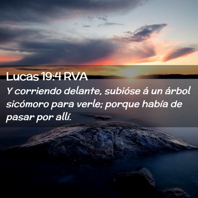 Picture 02 - Lucas 19:4 RVA - Y corriendo delante, subióse á un árbol - Bible Verse Picture