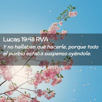 Picture 02 - Lucas 19:48 RVA - Y no hallaban qué hacerle, porque todo el pueblo - Bible Verse Picture