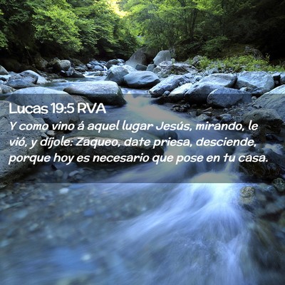 Picture 02 - Lucas 19:5 RVA - Y como vino á aquel lugar Jesús, mirando, le - Bible Verse Picture