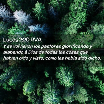 Picture 02 - Lucas 2:20 RVA - Y se volvieron los pastores glorificando y - Bible Verse Picture