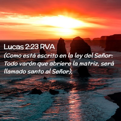 Picture 02 - Lucas 2:23 RVA - (Como está escrito en la ley del Señor: Todo - Bible Verse Picture