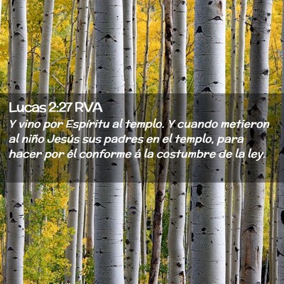 Picture 02 - Lucas 2:27 RVA - Y vino por Espíritu al templo. Y cuando metieron - Bible Verse Picture