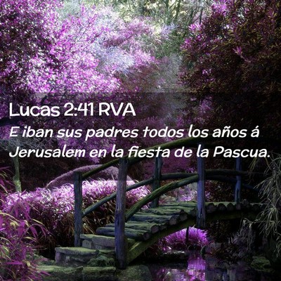 Picture 02 - Lucas 2:41 RVA - E iban sus padres todos los años á Jerusalem en - Bible Verse Picture