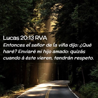 Picture 02 - Lucas 20:13 RVA - Entonces el señor de la viña dijo: ¿Qué - Bible Verse Picture
