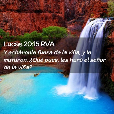 Picture 02 - Lucas 20:15 RVA - Y echáronle fuera de la viña, y le mataron. - Bible Verse Picture